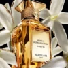 Jasmin Grandiflorum Extrait 30 – Extracto Jasmin Grandiflorum Extrait 30 – Extracto