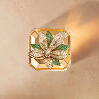 Jasmin Grandiflorum – Plato excepcional