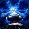 La Crema Longevidad – el recambio La Crema Longevidad – el recambio
