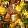 Oud Yuzu Forte – Eau de Parfum Oud Yuzu Forte – Eau de Parfum