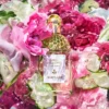 Rosa Verde: el ritual del bienestar Rosa Verde: el ritual del bienestar