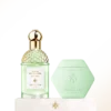 Rosa Verde: el ritual del bienestar Rosa Verde: el ritual del bienestar