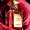 Rose Centifolia Extrait 1 – Extracto Rose Centifolia Extrait 1 – Extracto